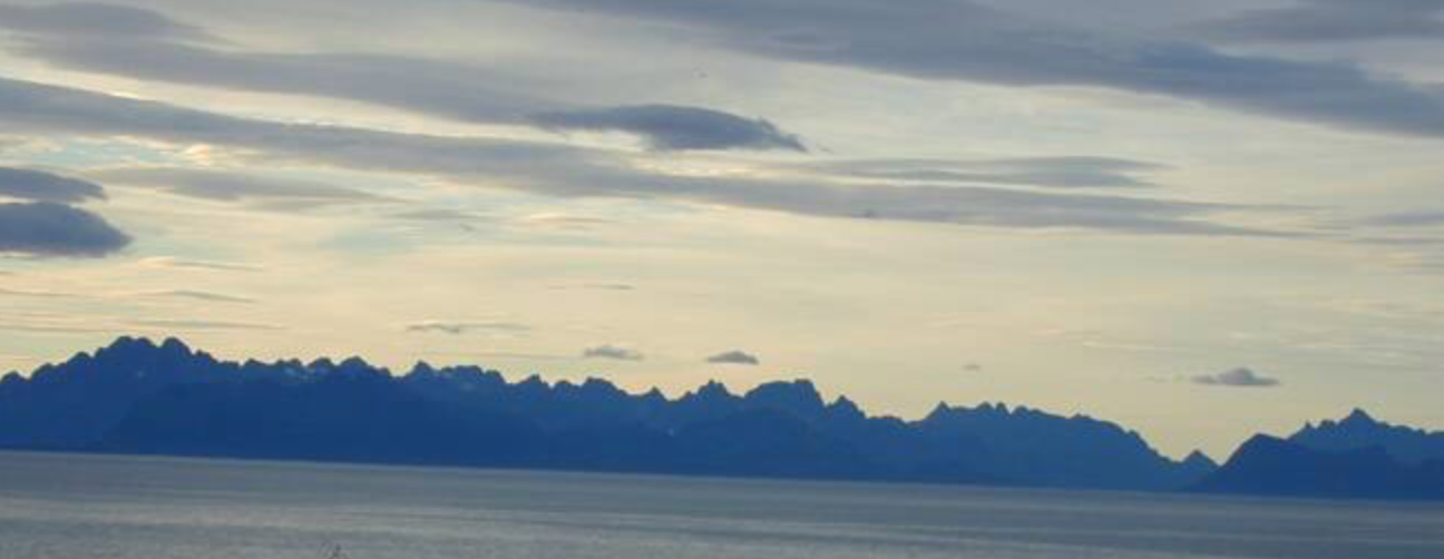 Lofotveggen foto: Gunnar Grytøyr